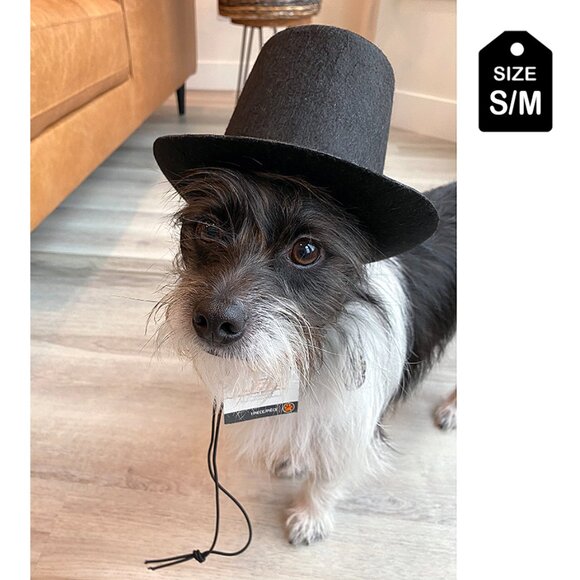 Pet Black Top Hat – Fits Small/Medium Pets (Dogs etc) - Picture 1 of 7